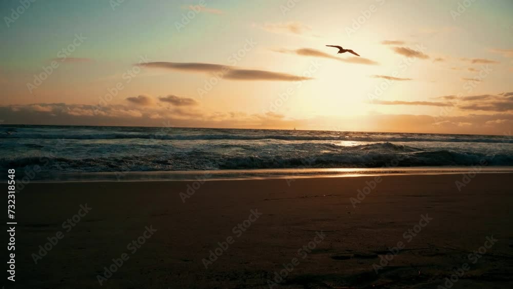 Birds flying over ocean at the beach at sunset. Venice beach at sunset with romantic sunrise view. Charming evening at California beach. Birds flying over ocean at the beach at sunset. Venice beach at sunset with romantic sunrise view. Charming evening at California beach.