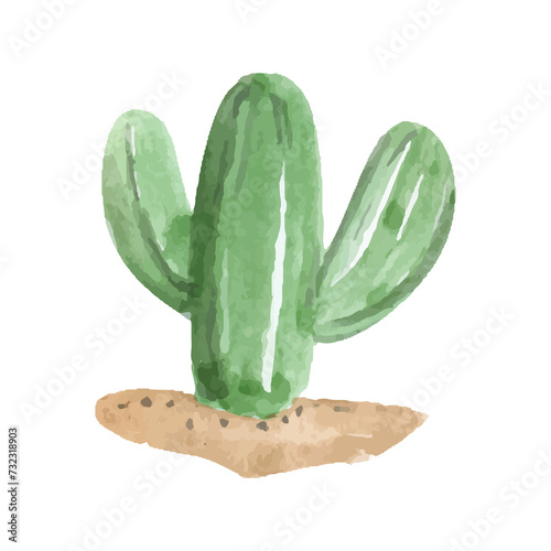 The watercolor element is a green cactus with sand. desert. plant. Cowboys. western.