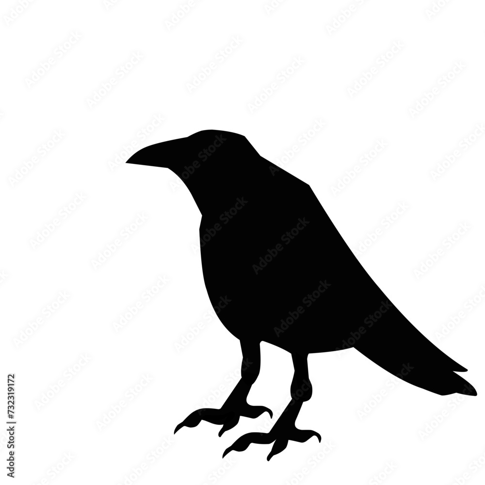 Fototapeta premium Raven Bird Silhouette 