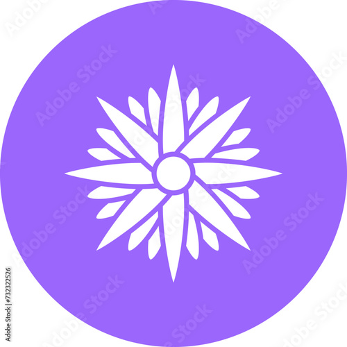 Aster Icon Style