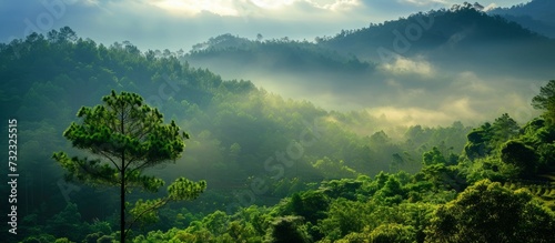 A natural landscape filled with fog, clouds, mountains, trees, and water, creating a serene and picturesque terrestial plant-filled landscape. photo