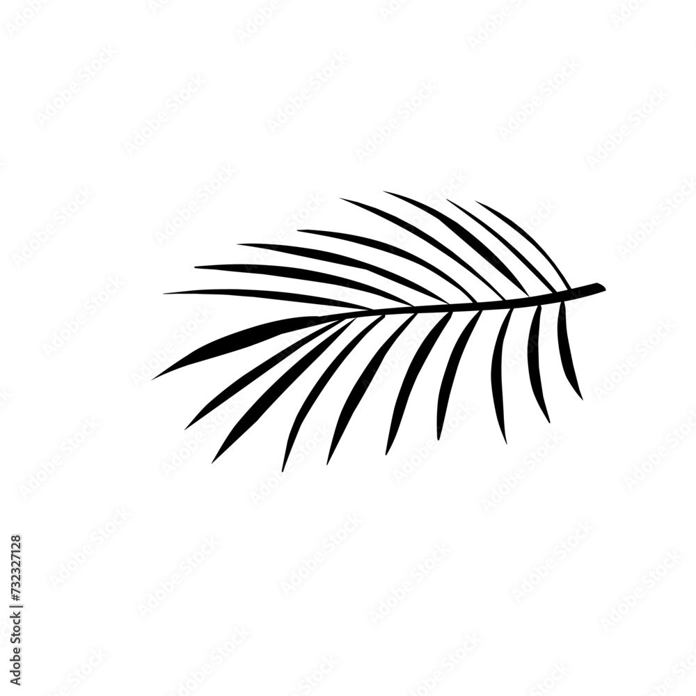 Palm Leaf Silhouette Palm Leaf Silhouette