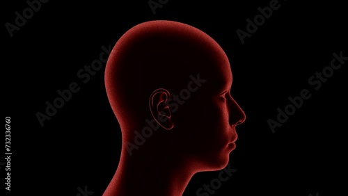 Stylized 3D Human head rotates 360 degree on black background. 4k Loop. Matte Background included.