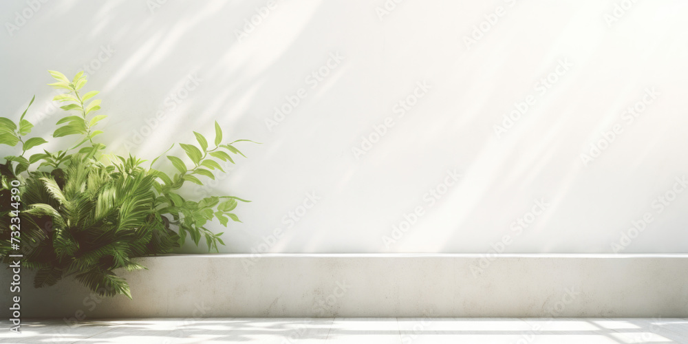 植物と壁 白い部屋 植物と壁 白い部屋