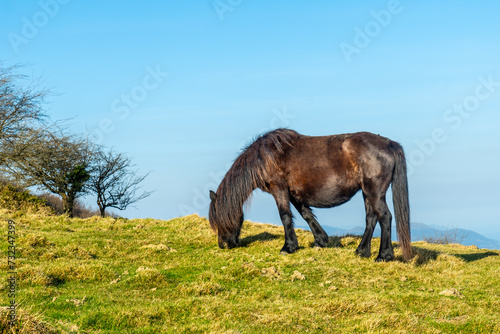 Horse on the top of Mount Ernio or Hernio in Gipuzkoa  Basque Country