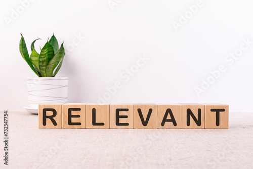 RELEVANT word made with building blocks on light background