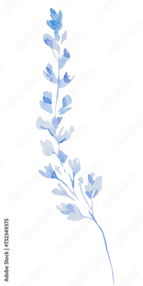 Watercolor light blue wild flower isolated illustration, floral wedding and greeting element