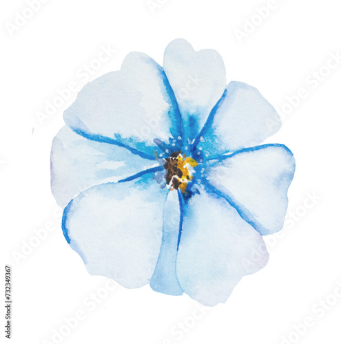 Watercolor light blue flower isolated illustration, floral wedding and greeting element