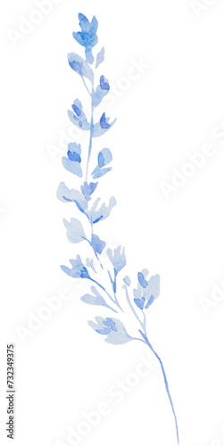 Watercolor light blue wild flower isolated illustration, floral wedding and greeting element