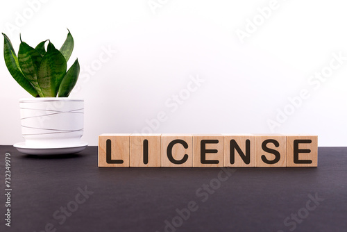 License word concept on wooden blocks on a black table with a green flower on a white background