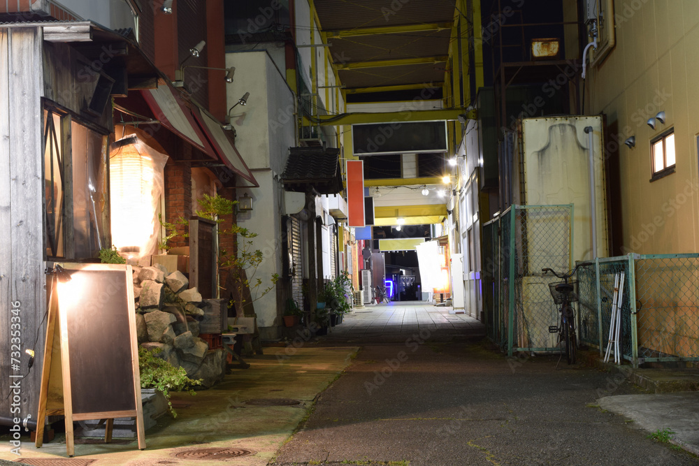 Nightlife district of Tsukuba Science City, Ibaraki Prefecture, Japan
