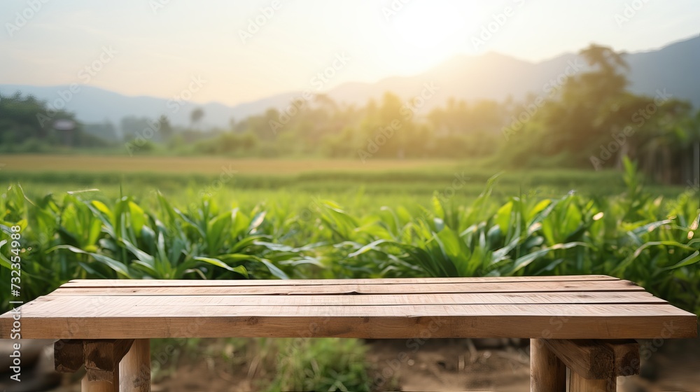 Tree Table wood Podium in farm display for food, perfume, and other products on nature background, Table in a farm with grass, trees, and Sunlight in the morning
