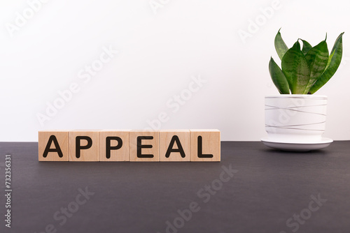 Картината върху платно Appeal word on wooden cubes on a dark table with a flower and a light background
