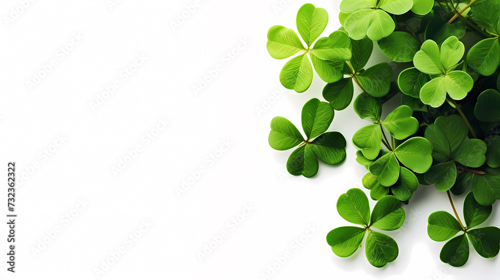 St. Patrick's Day celebration with copy space for text St. Patrick's Day celebration with copy space for text