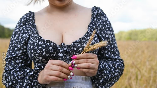 Close-up view of sexy plus size caucasian woman in black blouse with cleavage holding bouquet of ripe ears of wheat on agricultural field in a sunny summer day. Real time video. Food industry theme.