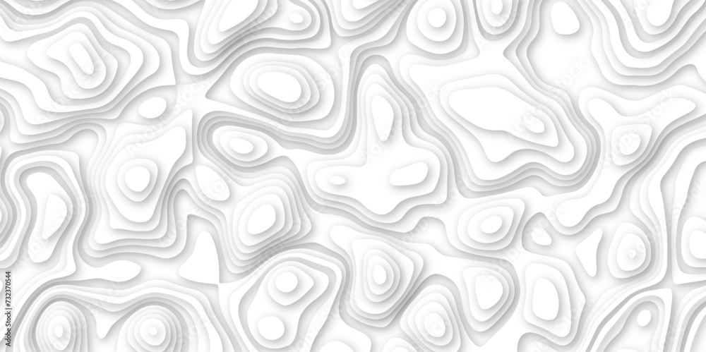 Abstract paper carve template. abstract white and gray 3d papercut topography relief vector background illustration. topographic canyon geometric map relief texture with curved layers and shadow.