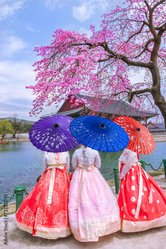 Cherry Blossom with Korean national dress at Gyeongbokgung Palace Seoul, South Korea..