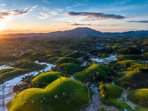 Aerial drone view of sunrise at Long Coc tea field, Phu Tho province, Vietnam