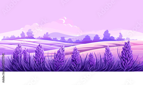 Lavender field. Vector illustration