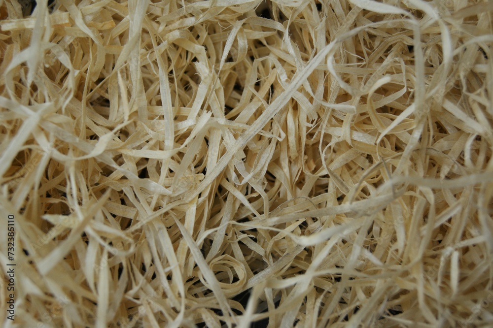 clean wood shavings II. High quality photo clean wood shavings II. High quality photo
