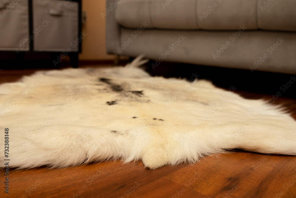 the skin of a white reindeer is a close-up, from below the skin of a white reindeer is a close-up, from below