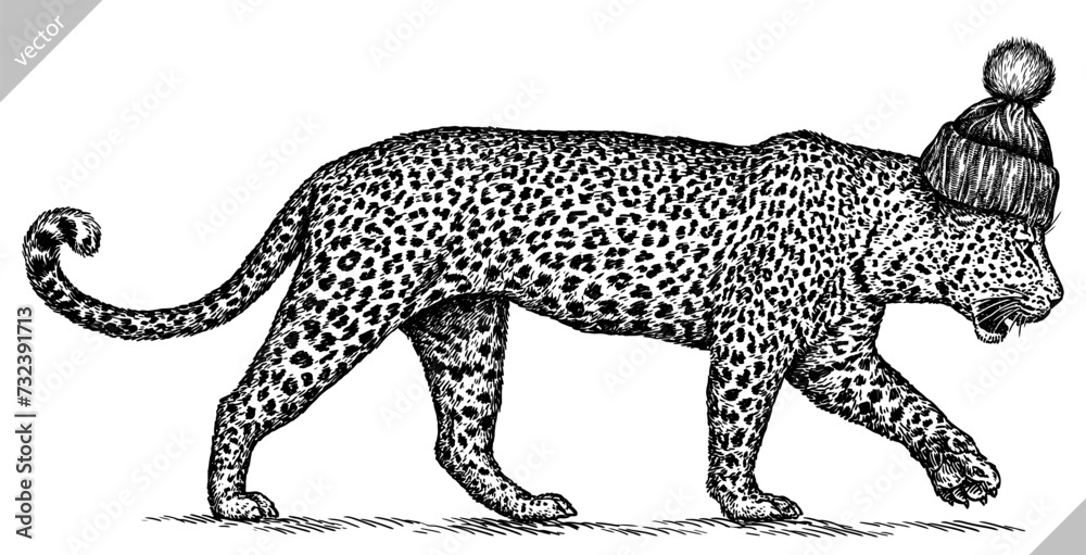 Fototapeta premium Vintage engraving isolated leopard set glasses dressed fashion panther illustration ink sketch. Africa wild cat cheetah background jaguar animal silhouette sunglasses hipster hat art. Vector image