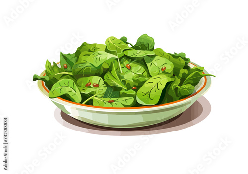 salad in a plate vector icon