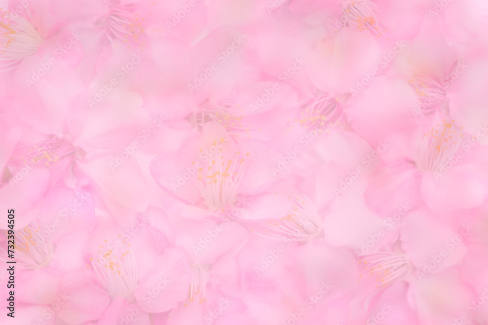 ピンクの花の背景素材