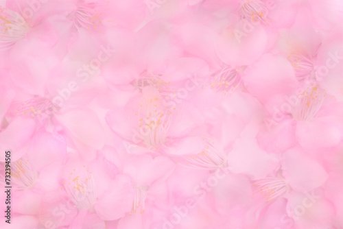 ピンクの花の背景素材 © asirf444
