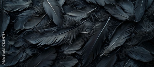 A monochrome close-up of a pile of black feathers on a black background  resembling a patterned automotive tire rim submerged in dark water.