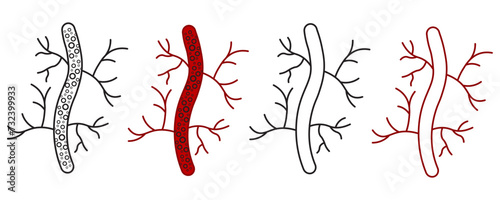 blood vessel glyph icon. Artery set symbol design vector ilustration.