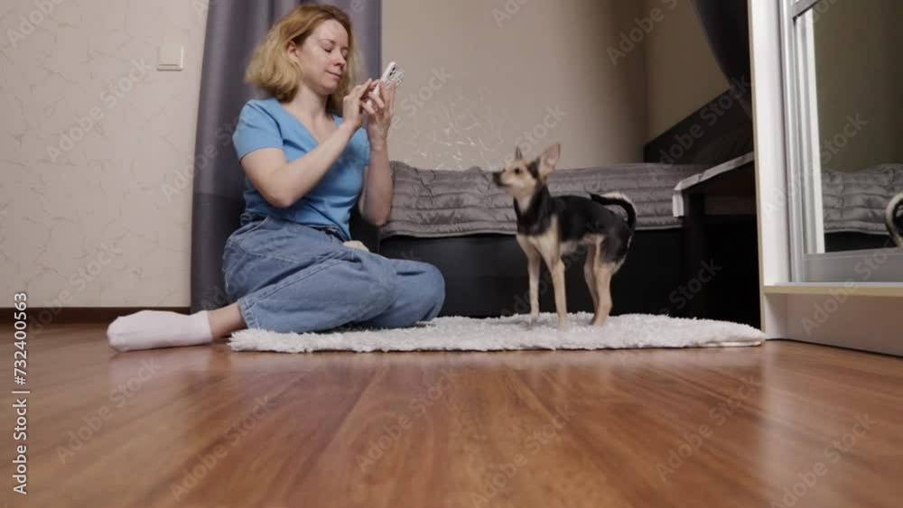 Pet store online, woman using smartphone to order dog supplies, convenient shopping, digital pet care Pet store online, woman using smartphone to order dog supplies, convenient shopping, digital pet care