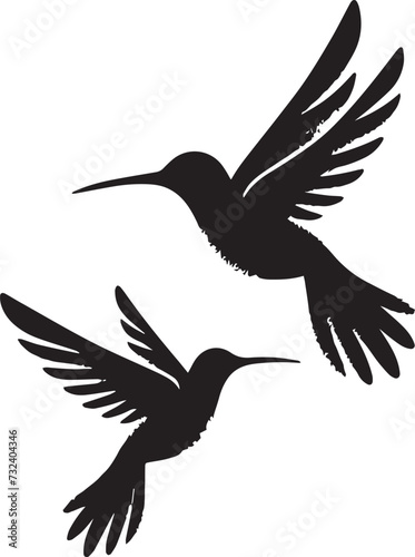 silhouette of a hummingbirds: