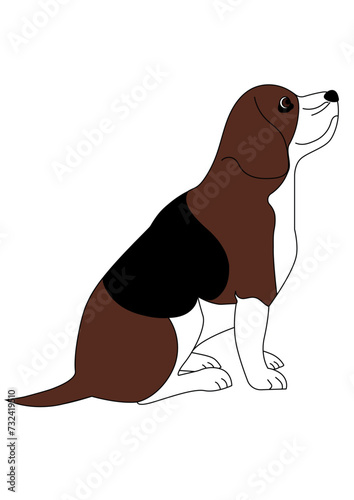 Cane di profilo