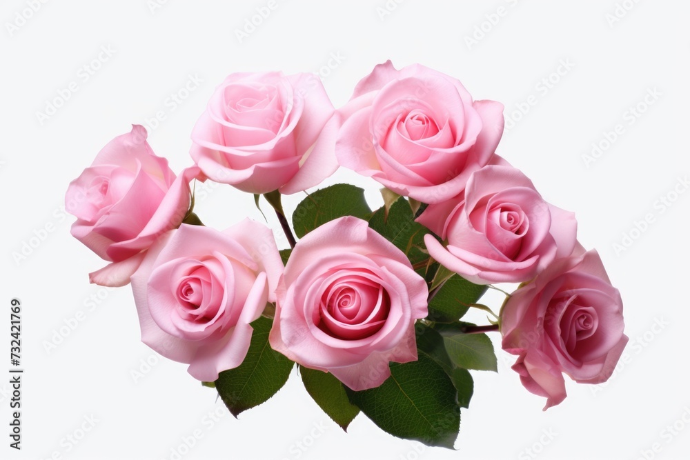 A beautiful bouquet of pink roses on a clean white background. Perfect for adding a touch of elegance to any project or design A beautiful bouquet of pink roses on a clean white background. Perfect for adding a touch of elegance to any project or design