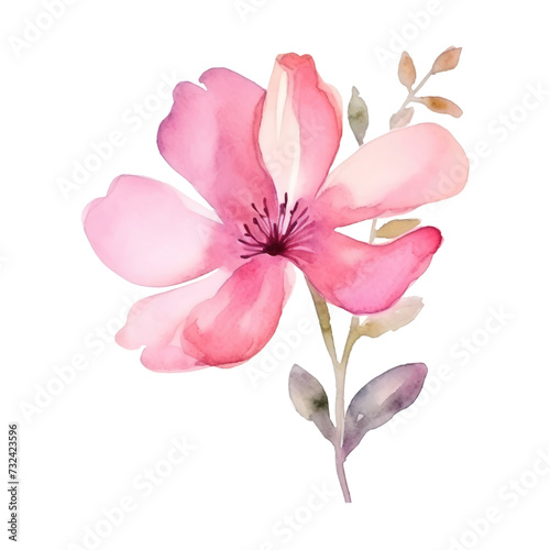 pink Flower watercolor illustration.Manual composition watercolor elements. on white background