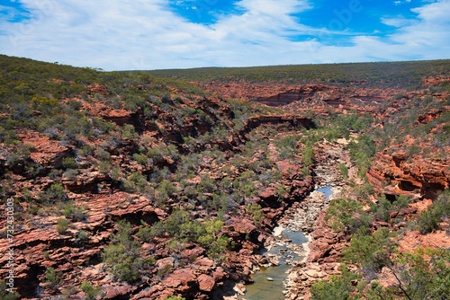 View of the red sandstone canyon of the Murchison River from the Z Bend Lookout, Kalbarri National Park, Western Australia 