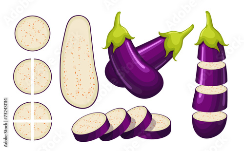 Vector eggplant isolated on white background