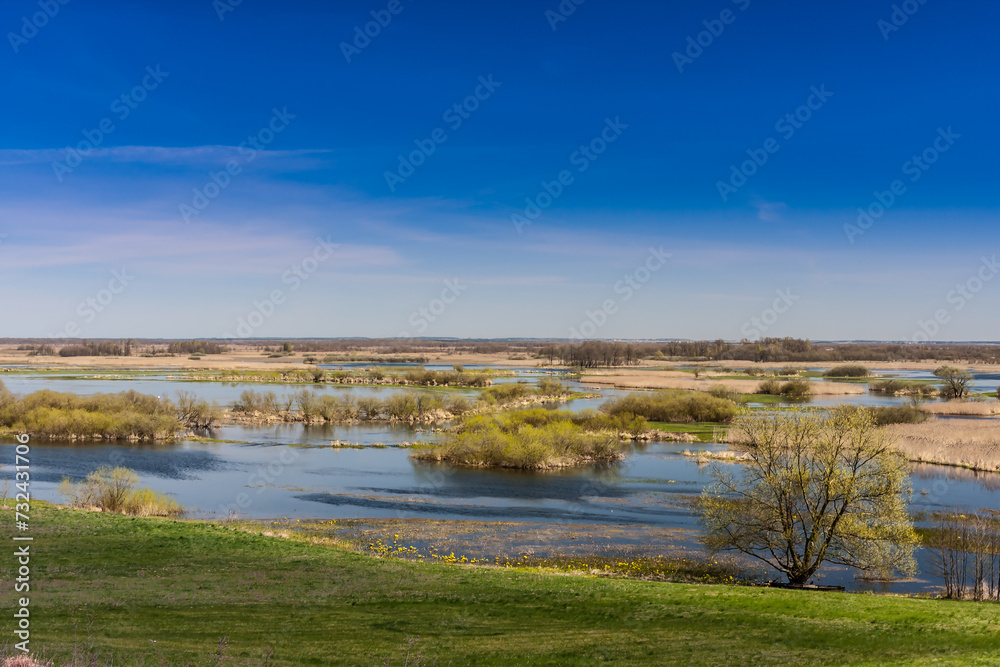 Spring landscape with river backwaters