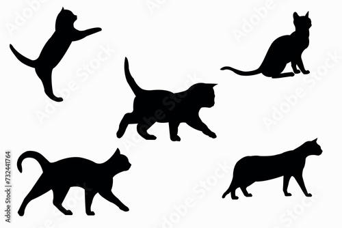 Cat collection - vector silhouette