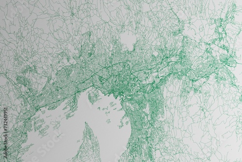 Map of the streets of Oslo (Norway) made with green lines on white paper. 3d render, illustration