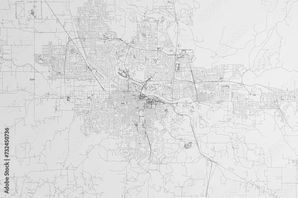 Map of the streets of Eugene (Oregon, USA) on white background. 3d render, illustration