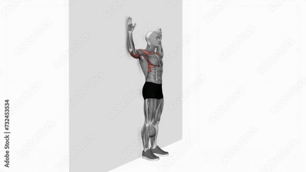 Animation of a muscle man practicing Bodyweight Standing Military Press Wall Supported workout Animation of a muscle man practicing Bodyweight Standing Military Press Wall Supported workout