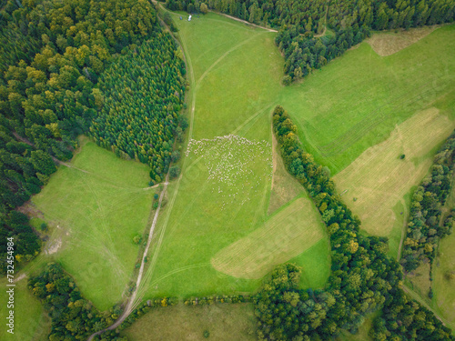 Lot nad Słotwinami podczas jesiennego redyku. Piękny krajobraz. photo