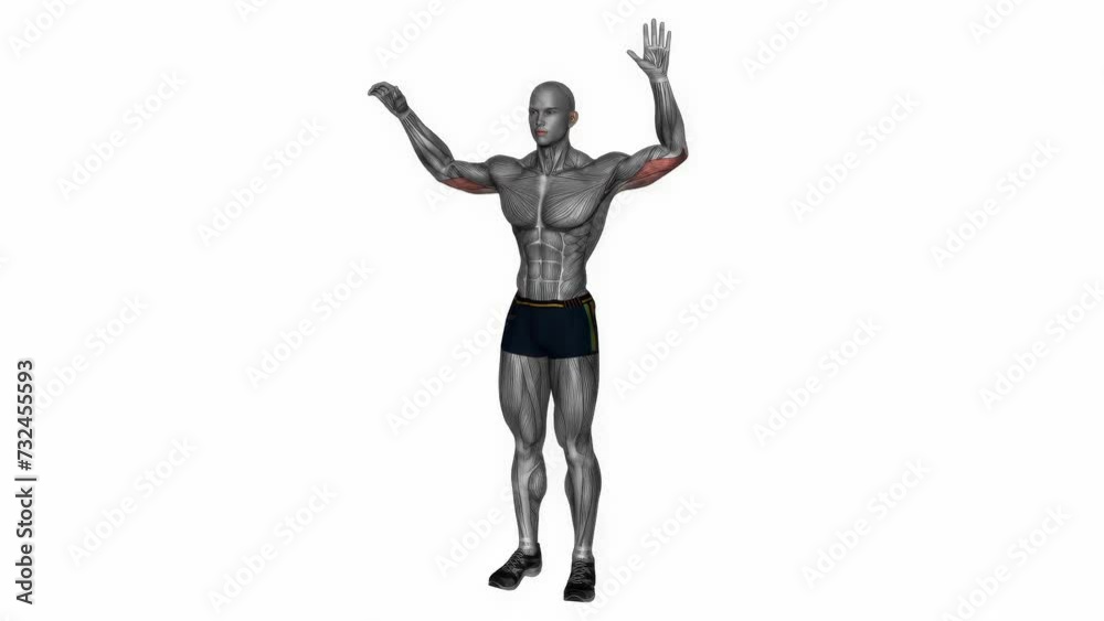 3D-rendered animation of a sportsman doing arm stretching isolated on a white background 3D-rendered animation of a sportsman doing arm stretching isolated on a white background