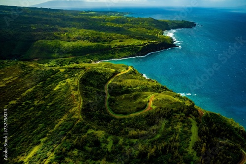 Aerial view of an idyllic tropical island showcasing lush green fields © Wirestock