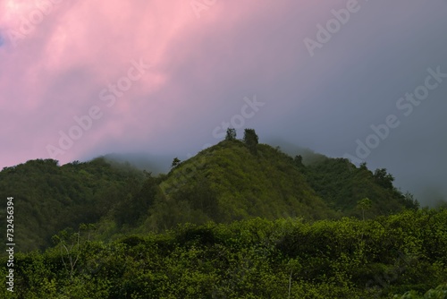Landscape of hills covered in greenery and fog during the sunset in the countryside