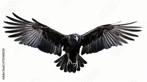 Flying raven
