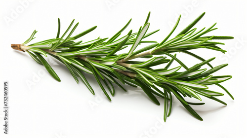 Fresh rosemary