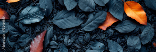 abstract black and orange leaves , vibrant autunm banner, home decor and pattern design